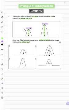 Principle of Superposition Grade 10 | Physical Sciences
