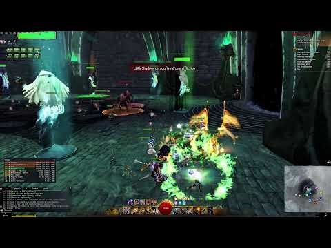 Guild Wars 2 chill raid training