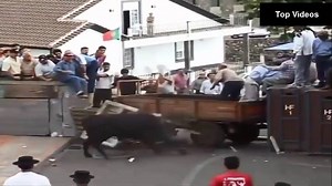 24K views · 147 reactions | omg . Best funny videos 2019 - Most awesome bullfighting festival - funny crazy bull fails | BIKE | Facebook