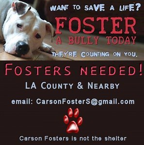 11K views · 151 reactions |                ...