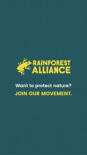 A better future requires everyone—and teaching our kids to love nature is the first step in protecting it. Follow our movement. | Rainforest Alliance