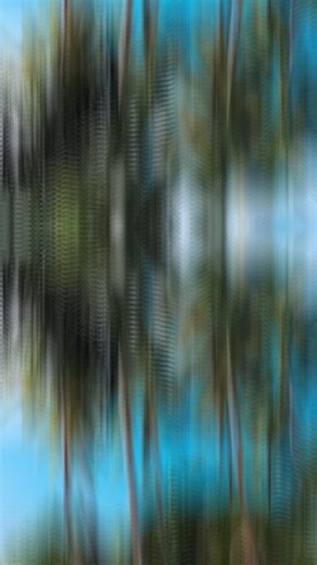 4.4K views · 11 reactions | Fiji  Dive into the enchanting world...