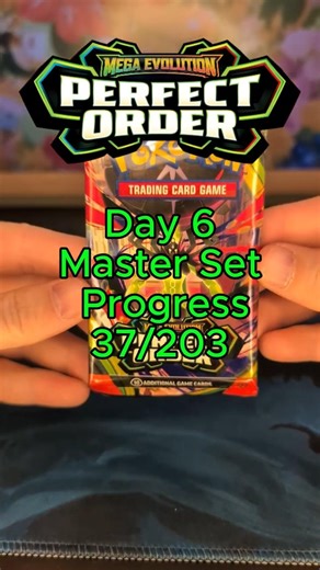 Day 6 Perfect Order Master Set