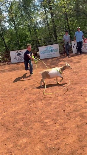 Goat roping #country#roping#cowboys#teamroping#rodeo#countryboys