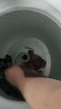 How To Remove Stuck Clothes In Whirlpool H E washing Machine