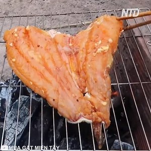 1.1M views · 1.7K reactions | Grilling Fish Outside  Credit: MÙA GẶT MIỀN TÂY (goo.gl/A2AAzh) | Daily Viral Stories | Facebook