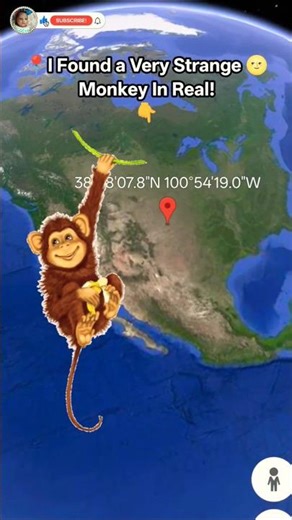 Very Strange Monkey In Real On Google Maps #earth #maps