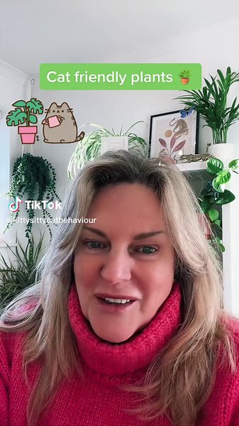 Top Cat Safe Plants for Your Home