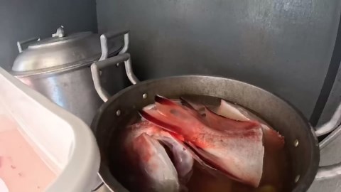 Guests tried giant shellfish for the first time