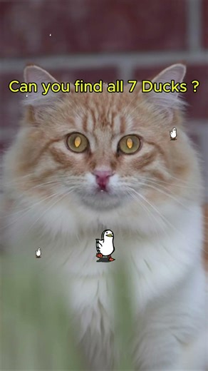 Find 7 Hidden Ducks 🦆 | Can you spot them all ?