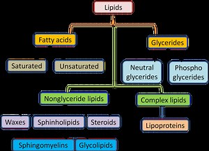 Biology Revision Notes on Lipids: Classification and Functions