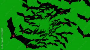 Spooky cartoon Bats fly on a green screen. Bats fly transition with key color. Halloween elements. Chroma key, green screen. Happy halloween. Flock of flying bats. 2d animation. 4k stock footage.