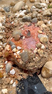 289K views · 1.3K reactions | Hunting for unique stones and beautiful motifs at gold mining sites. #hunting #gemstone #goldmine #huntinggear #freedom #photography | The GemsHunter | Facebook