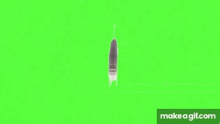 Green Screen Spinning Fish 4K on Make a GIF
