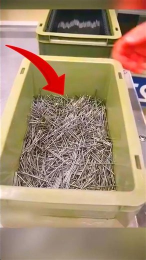 ¿Por qué los clavos se ordenan solos? #curiosidades #viral #diy #trending #shortsfeed #amazing #wow