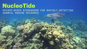 The warming of the oceans due to climate change has increased the...