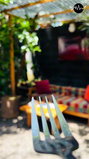 19K views · 250 reactions | Food that feels like home. | Manyazewal eshetu gibi | Facebook