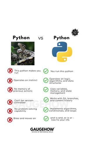 Python vs Python #python