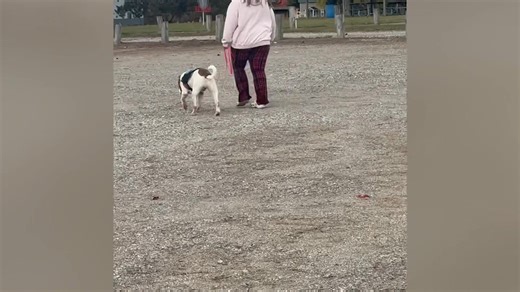 7.2K views · 24 reactions |  Winter is coming… and Captain still...