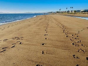 How Did Alameda Get Its Name?