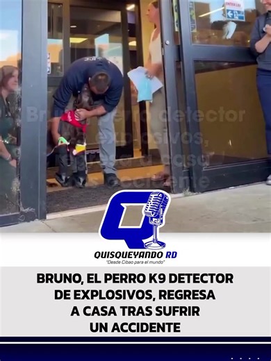 Bruno, un valiente perro K9 de la Policía de Park City, Utah, regresó a casa para continuar con su proceso de recuperación luego de resultar gravemente herido mientras se encontraba en servicio. El can sufrió fracturas en ambas patas y en la mandíbula tras caer de un puente durante un operativo. Ahora, Bruno continuará su recuperación acompañado de quienes lo cuidan, mientras avanza en su rehabilitación. ¡Fuerza, Bruno! #Bruno #K9 #PerrosPolicia #PerrosDeServicio #CDM 📲 Todos los detalles de es