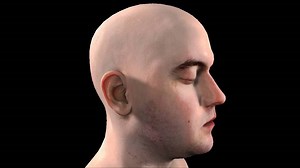 Chickens Shader Bundle