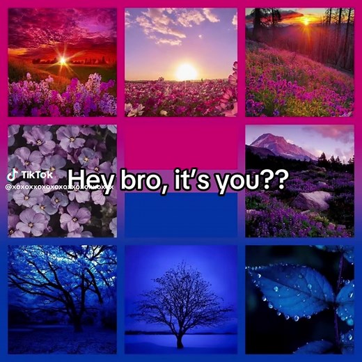 Bisexual describes a sexual or romantic attraction to two or more genders, not necessarily at the same time or to the same degree. #wlw #mlm #mlw #bi #bisexual