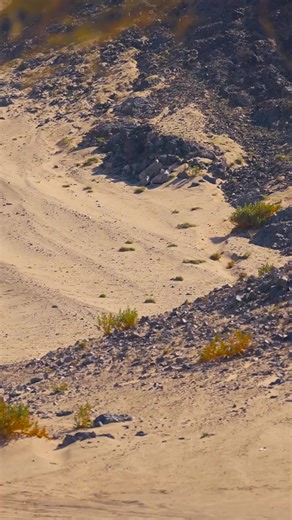 Dakar Rally 2026 Prologo: Exciting Start to the Adventure
