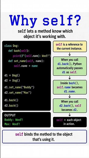 Why Does Python Need self? 🐍 (Finally Explained!)
