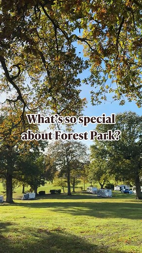 3.3K views · 38 reactions | There’s something truly special about...