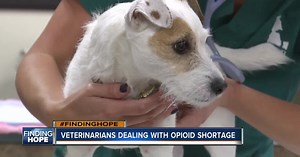 FINDING HOPE: Drug dependence vs. drug addiction