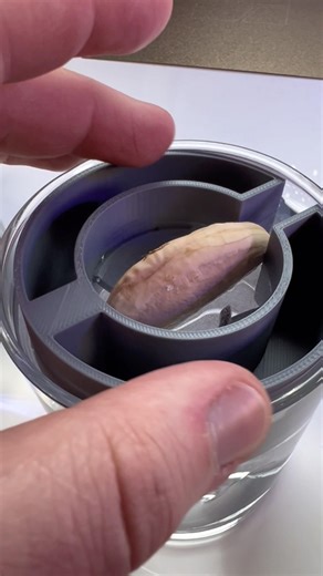 Growing a Mango Tree with 3D Printed Genius #3dprinting #gardening