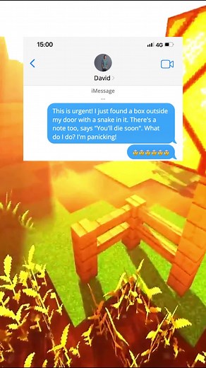 The end will Shock you 🥶🥶🤫#fyp #text #scarytextmessages