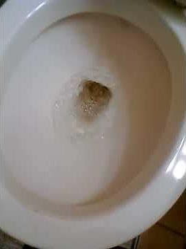 Simple trick to unclog (unblock) a toilet clogged up by excrement (feces)