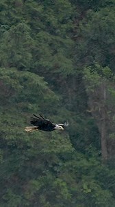 3.6M views · 143K reactions | A little bit of rain, some light misty...