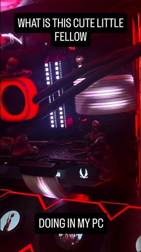 Look Who Got Into My PC 😅😅 #gamingpc #gamingaccessories #deadpool #avengers #live #valorant #setup