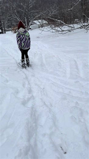 Building a Backyard Ski Trail and Jumps for Fun