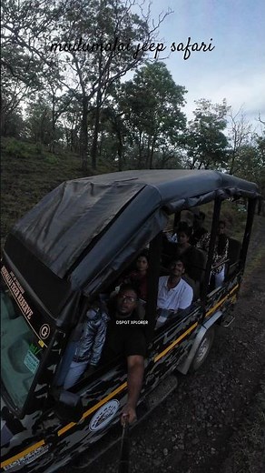 🦚Mudumalai jeep safari #adventure #travel #wildlife #nature #dspotxplorer #shorts