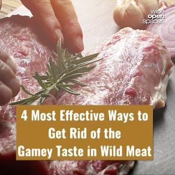 4 Most Effective Ways to Get Rid of the Gamey Taste in Wild Meat