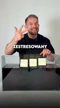 Zanim zaczniesz kolejną dietę, obejrzyj to