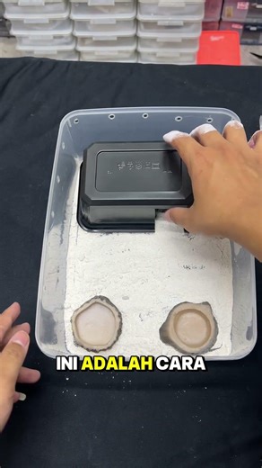 Tutorial on Setting Up a Gecko Cage Using Dolomite Sand | WA 082137374647 | Website Reptilezoy.com