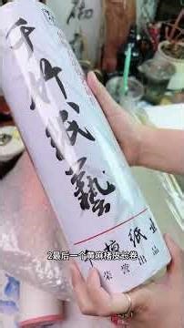 Mastering Calligraphy: A Journey Through Ink & Brush (Day 221