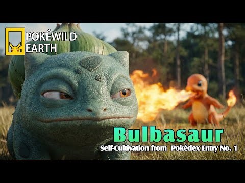 【Pokémon Nature Documentary】EP03丨Bulbasaur：Self-Cultivation Tips from Pokémon Pokédex Entry No. 1