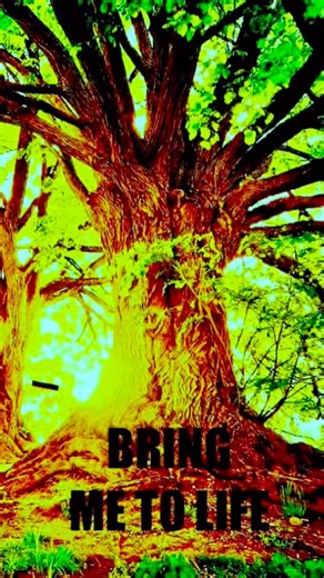 Bring Me To Life (Evanescence) Vocal Cover Part 2