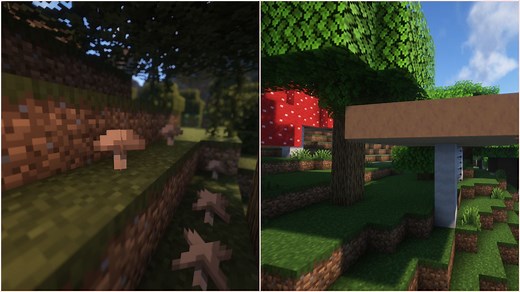 Minecraft mushroom guide: How to grow, where it generates, and uses