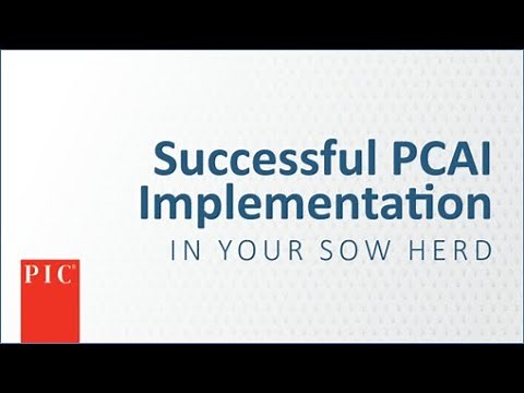 PCAI in Sows