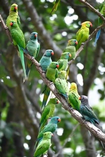 How Smart Are You?#short#shortsfeed #shortvairal #aicreation #youtubeshort