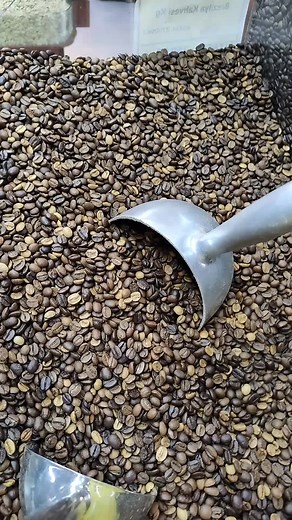 Coffee Bean Processing: Behind the Scenes