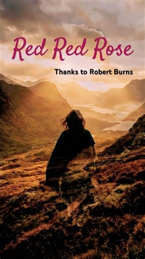 Red Red Rose 🥀 A Tribute to Robert Burns | Scotland Vibes (AI Folk) #Shorts