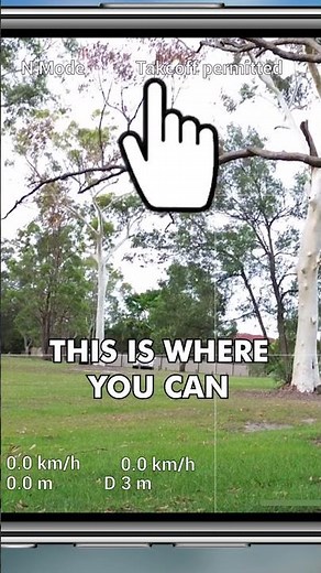 DJI Mini 3 - Tips & Tricks (Secret Flight Menu)